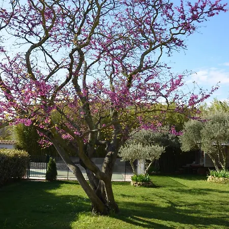 Les Treilles De Provence, La Glycine Ferienhaus *