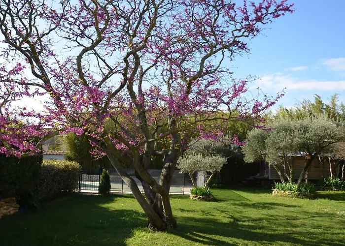 Les Treilles De Provence, La Glycine Semesterbostad *